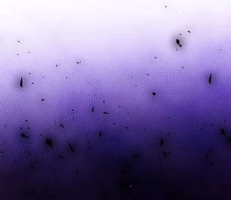 Página do Capítulo 28