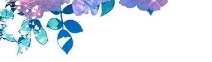 Página do Capítulo 45