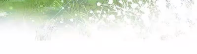 Página do Capítulo 47