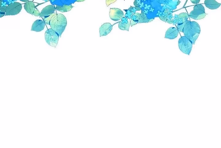 Página do Capítulo 62