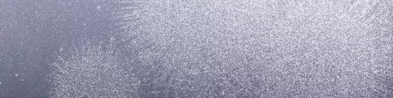 Página do Capítulo 06