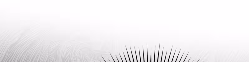 Página do Capítulo 08