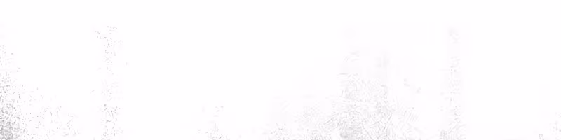 Página do Capítulo 08