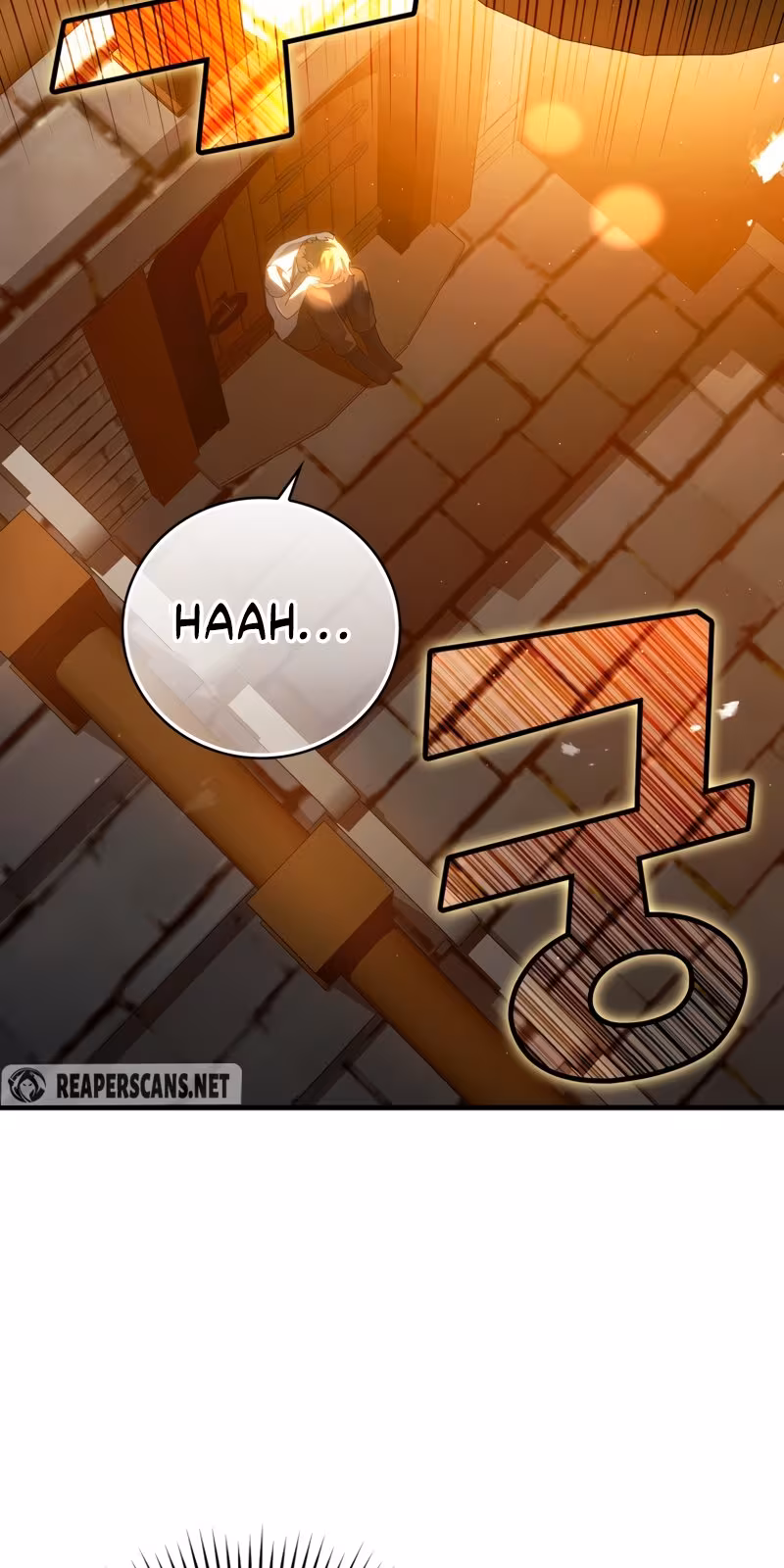 Página do Capítulo 12