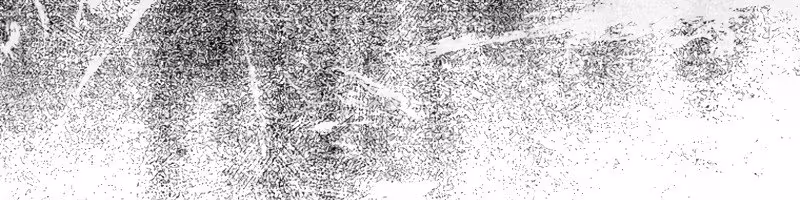 Página do Capítulo 17