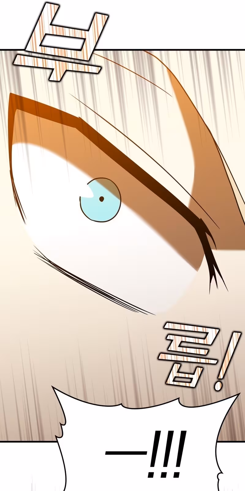 Página do Capítulo 24