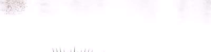 Página do Capítulo 24