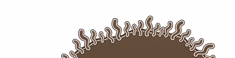 Página do Capítulo 25