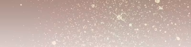 Página do Capítulo 29