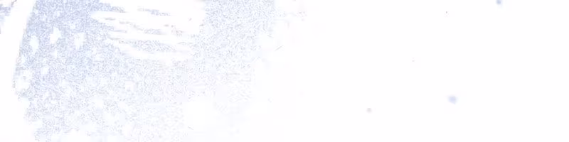 Página do Capítulo 36