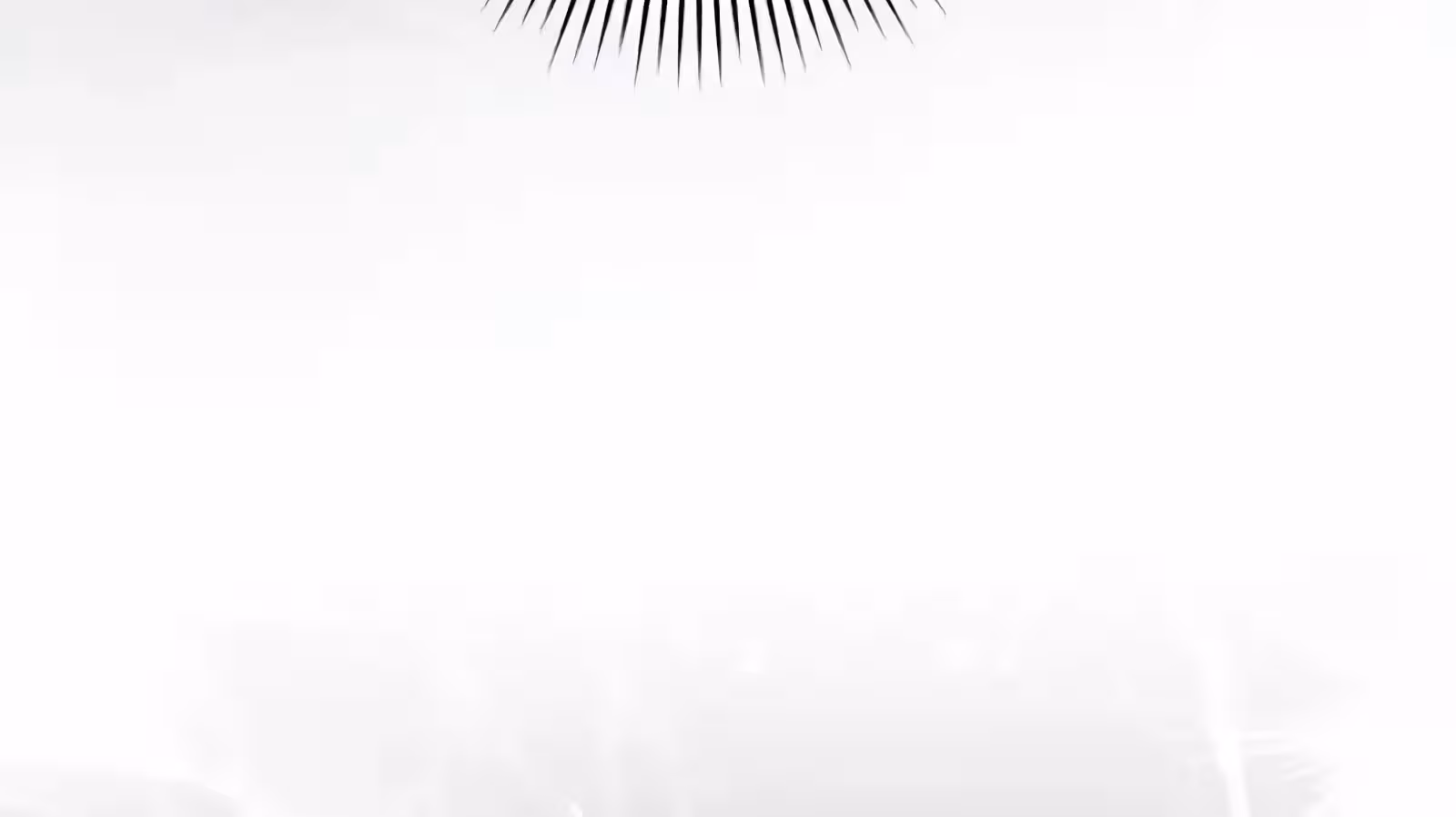 Página do Capítulo 75