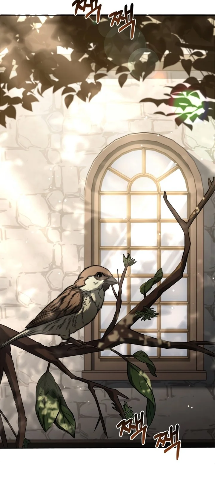 Página do Capítulo 01