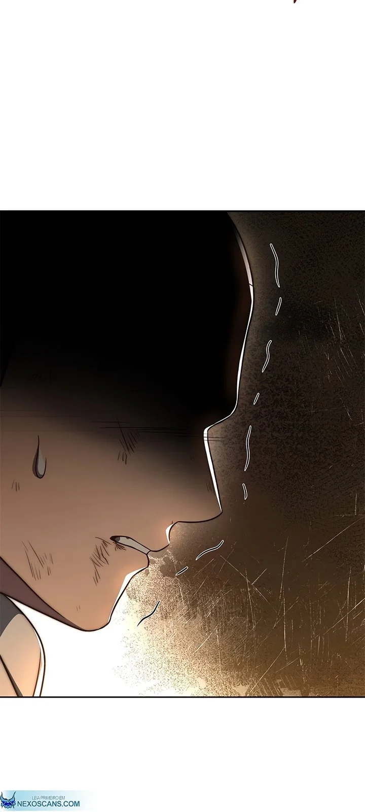 Página do Capítulo 13