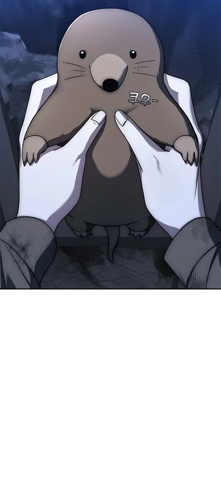 Página do Capítulo 17