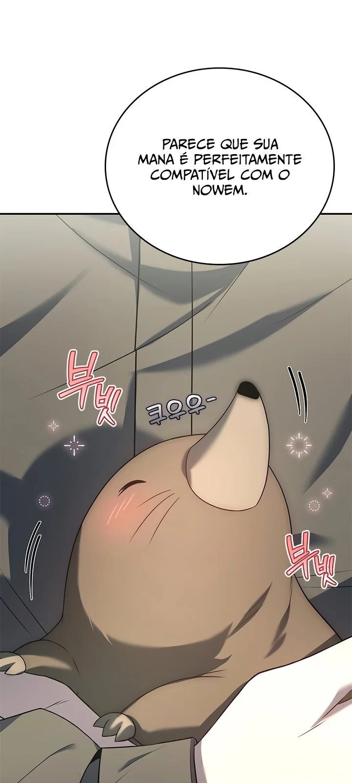 Página do Capítulo 20