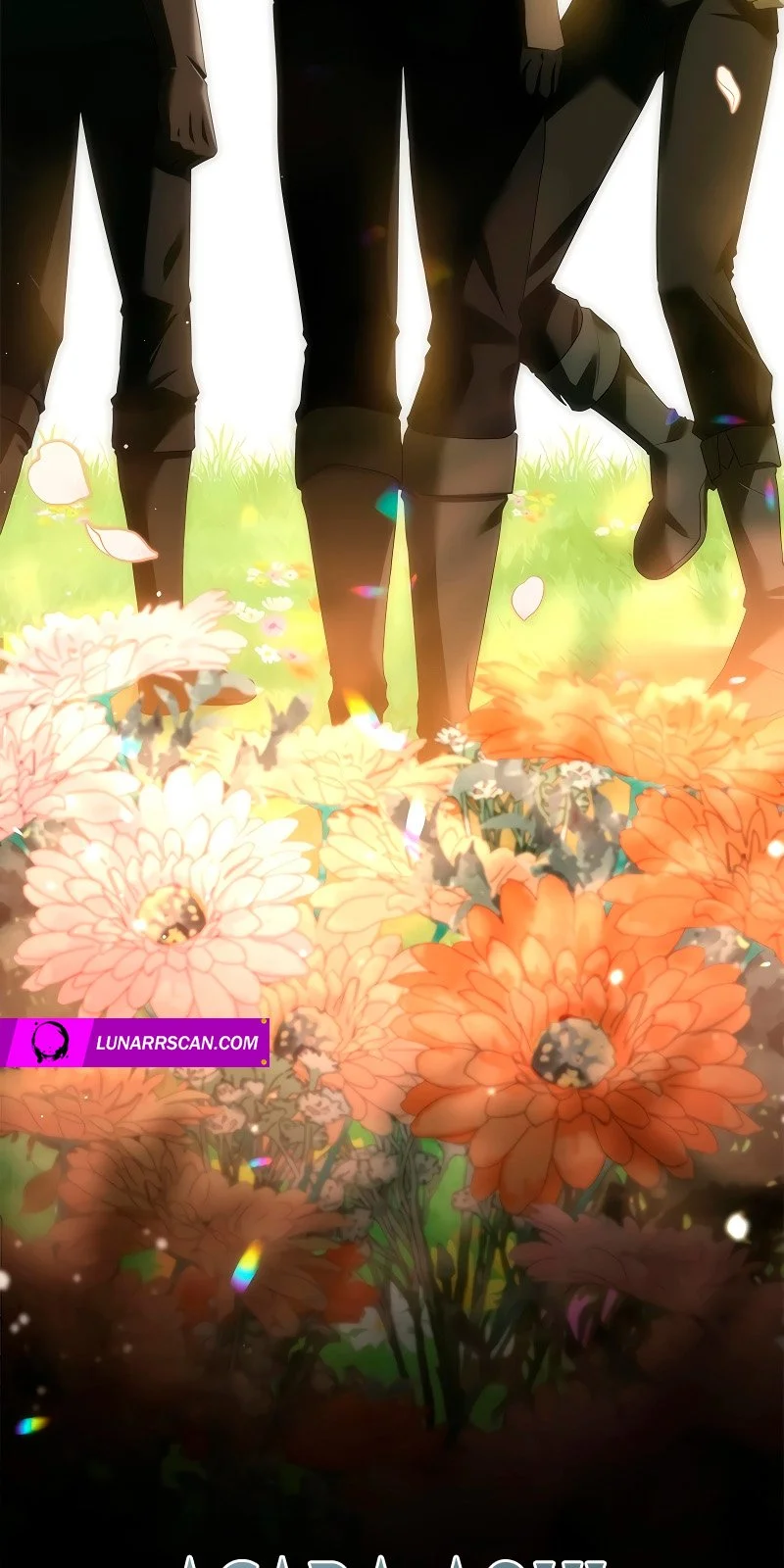 Página do Capítulo 44