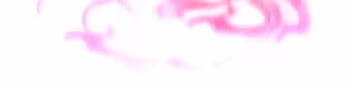 Página do Capítulo 19