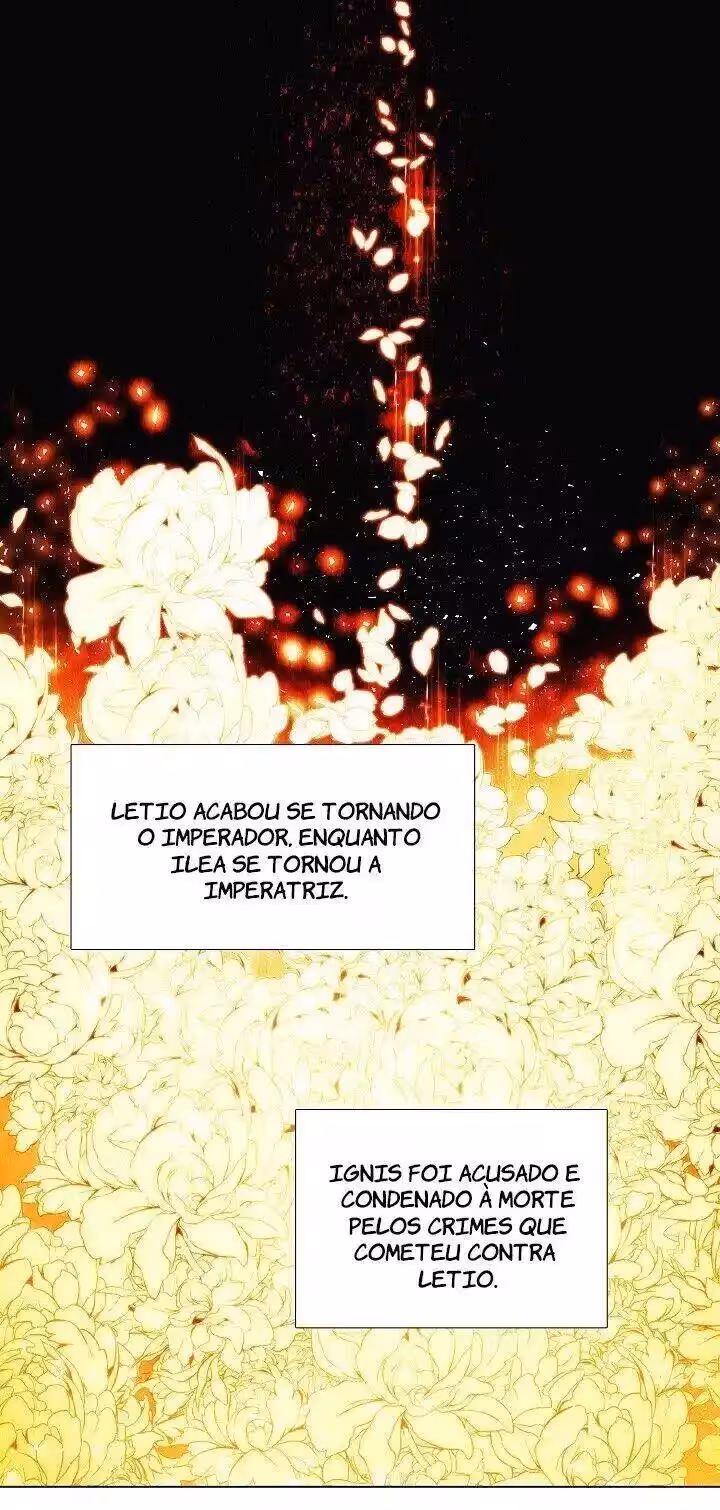 Página do Capítulo 19