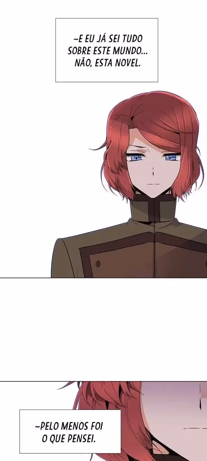 Página do Capítulo 20