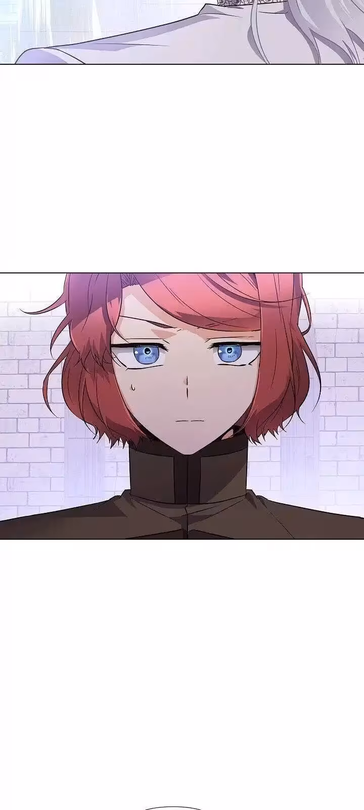 Página do Capítulo 33