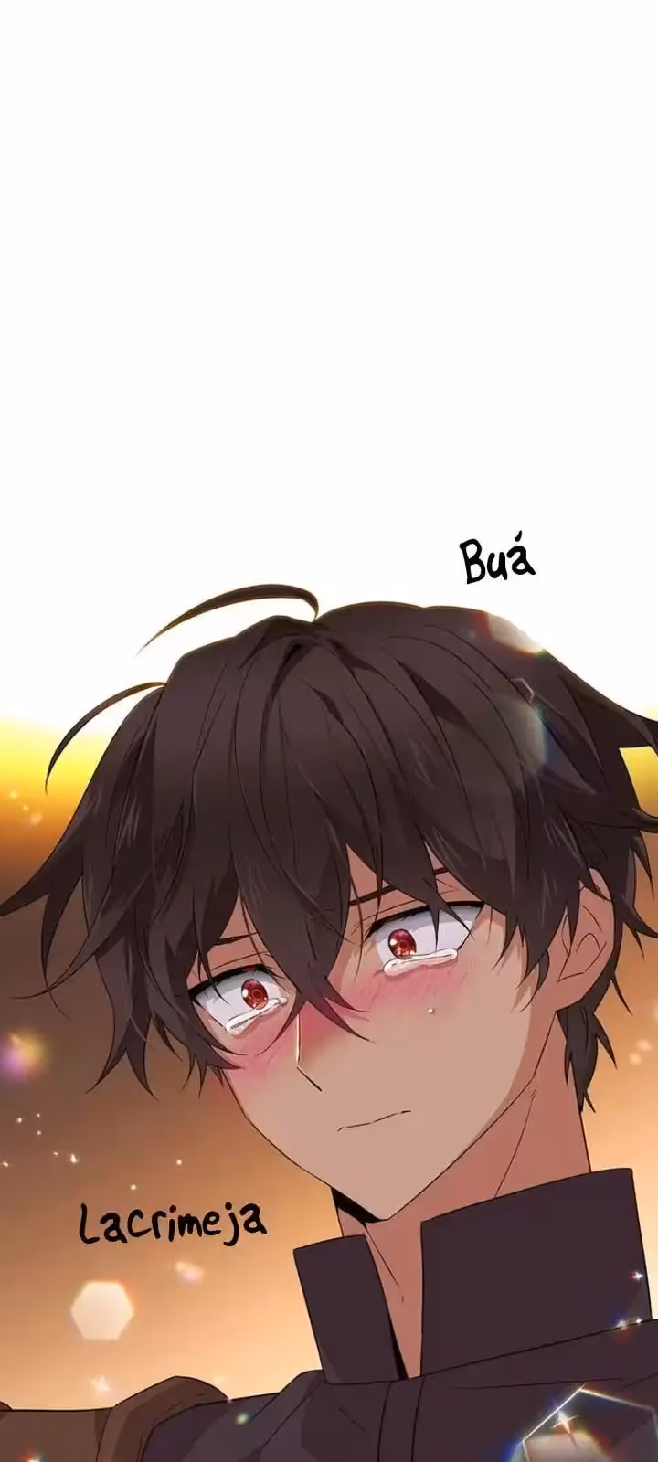 Página do Capítulo 95