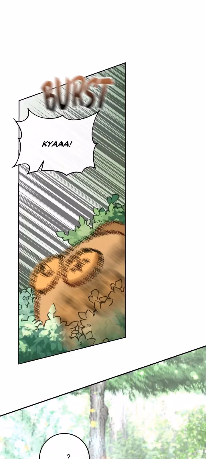 Página do Capítulo 08