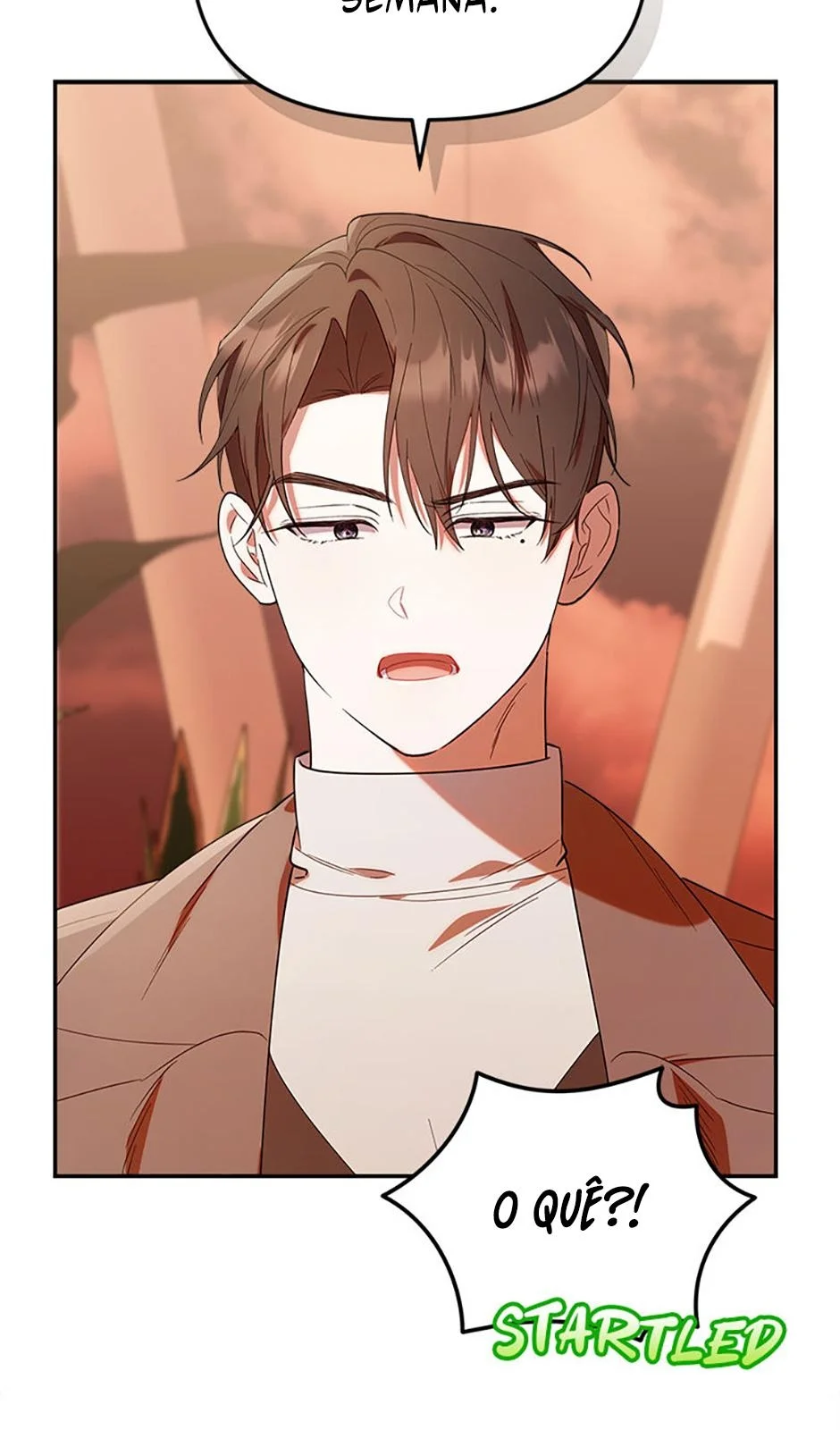 Página do Capítulo 23