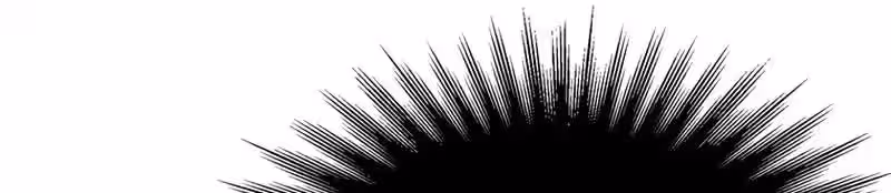 Página do Capítulo 108