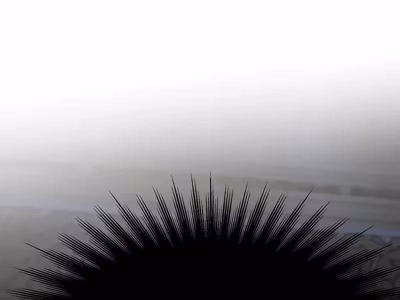 Página do Capítulo 139