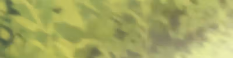 Página do Capítulo 91