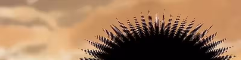 Página do Capítulo 92