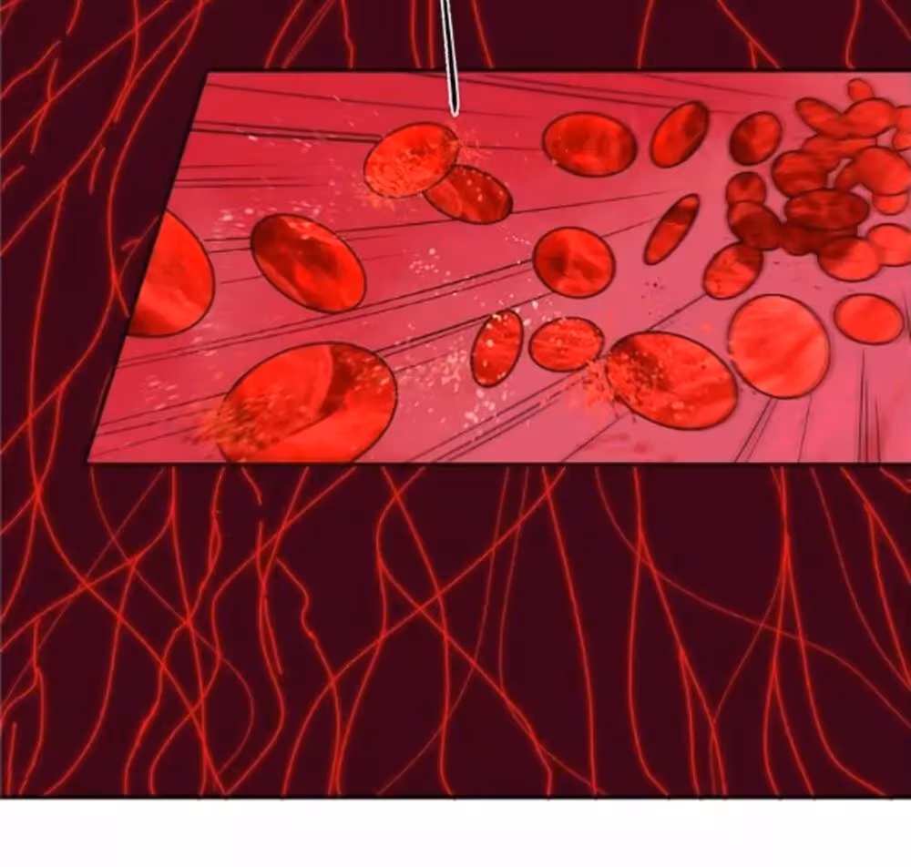 Página do Capítulo 005