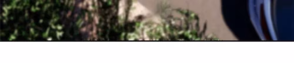 Página do Capítulo 017