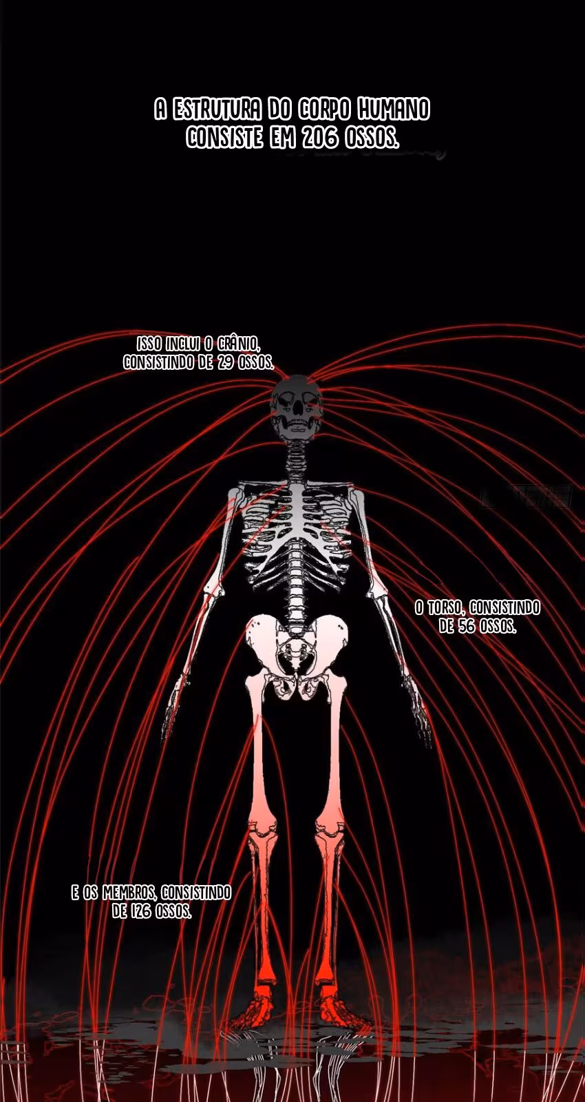 Página do Capítulo 013