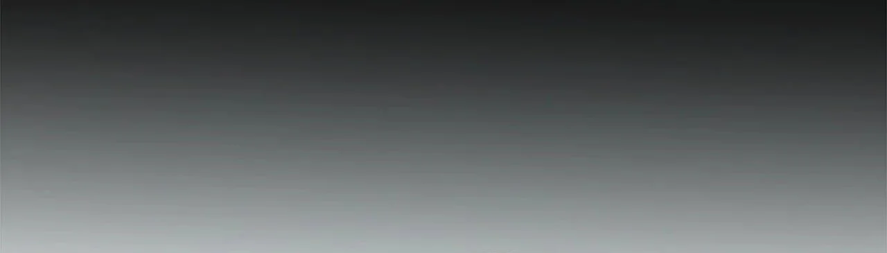 Página do Capítulo 19