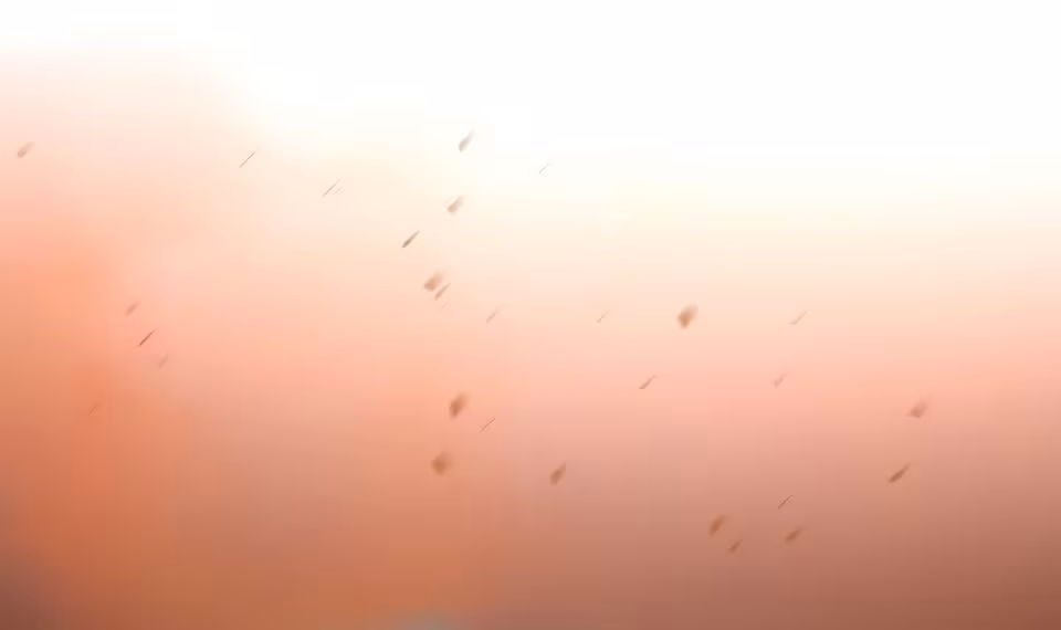 Página do Capítulo 02