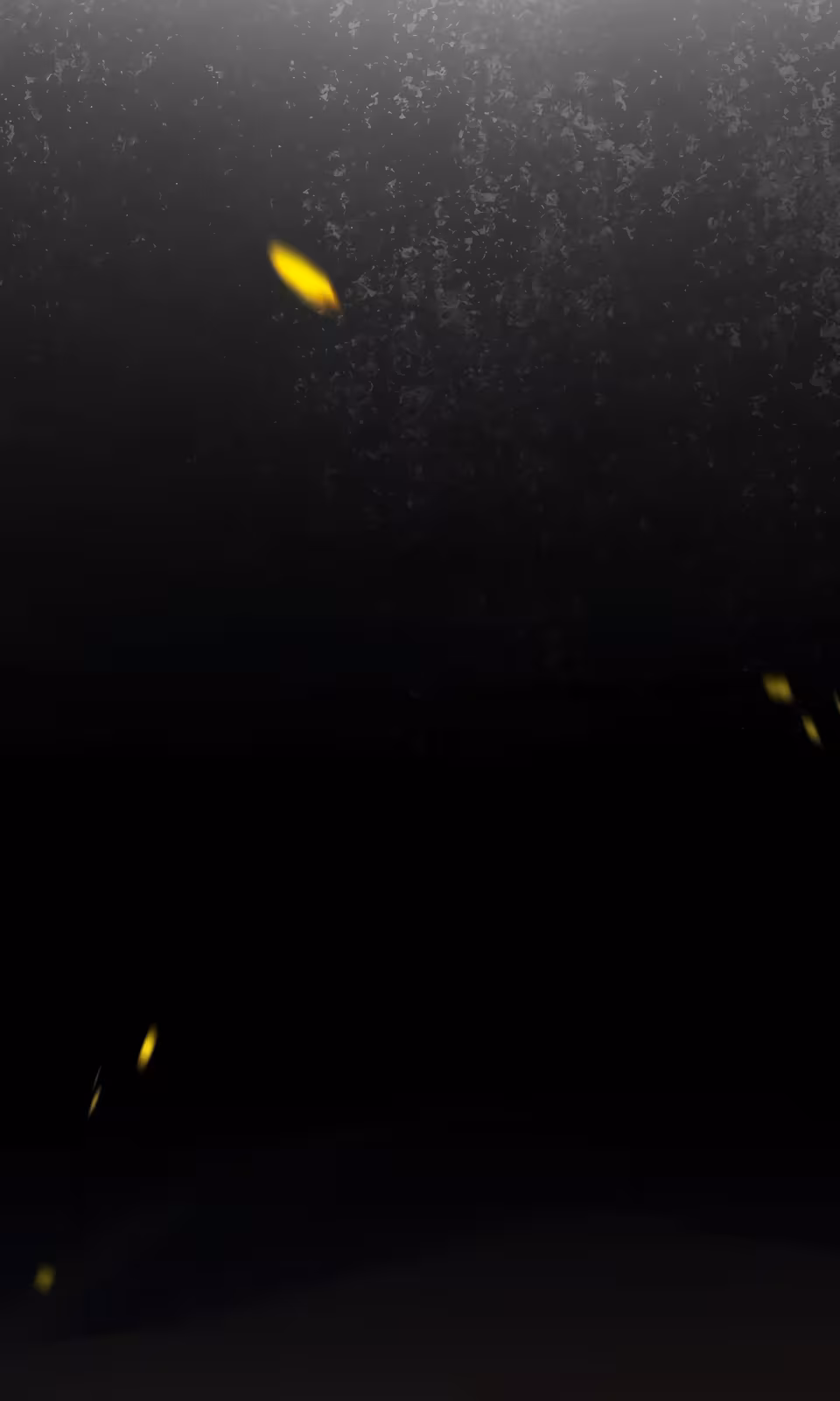 Página do Capítulo 08