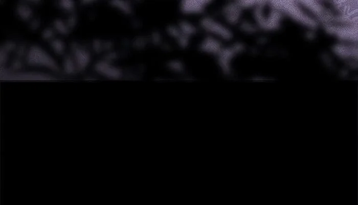 Página do Capítulo 40