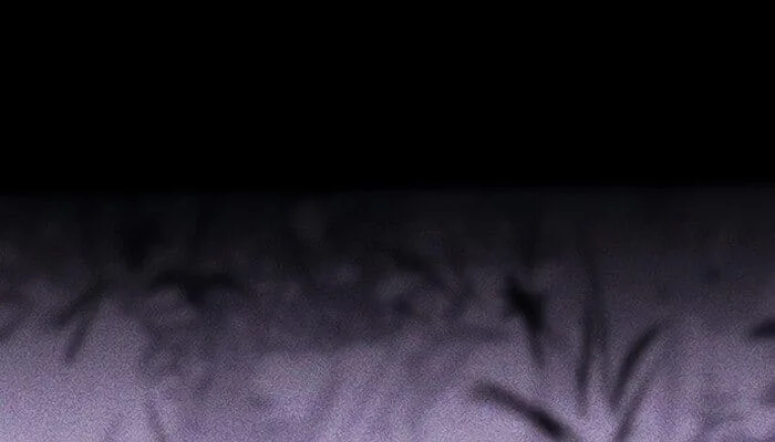 Página do Capítulo 40