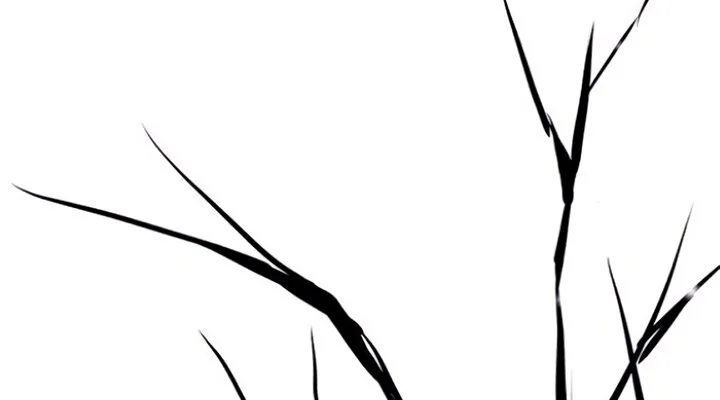 Página do Capítulo 48