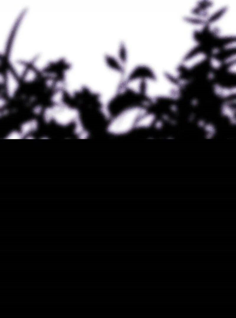 Página do Capítulo 14