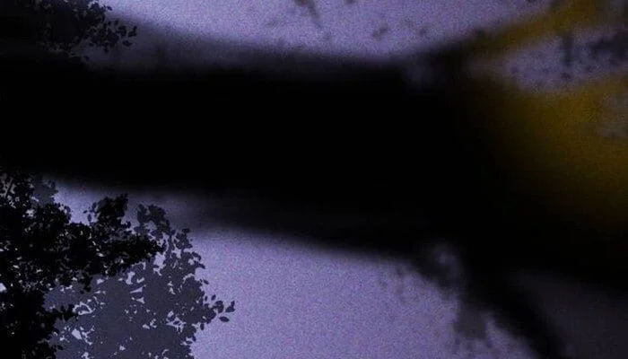 Página do Capítulo 16