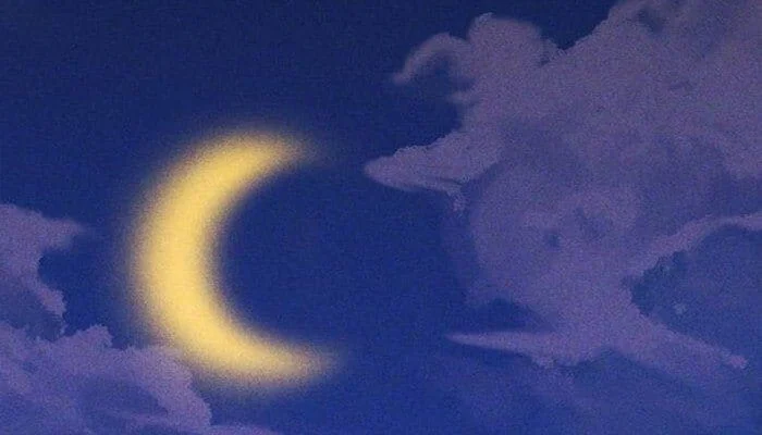 Página do Capítulo 16