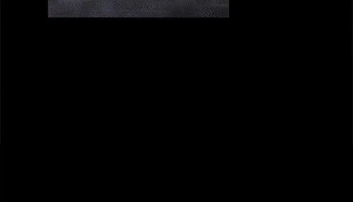 Página do Capítulo 16