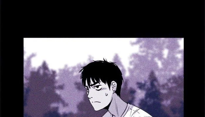 Página do Capítulo 17