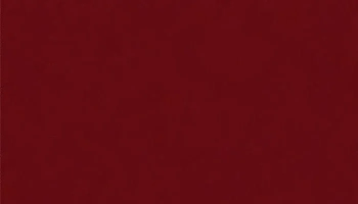 Página do Capítulo 17