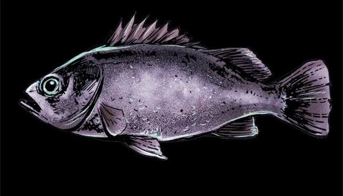 Página do Capítulo 19