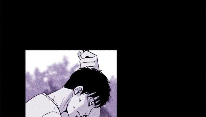 Página do Capítulo 19