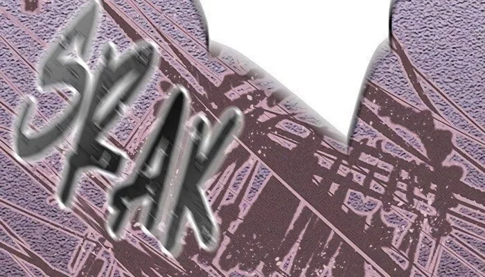 Página do Capítulo 25