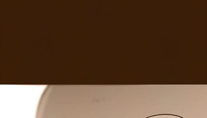 Página do Capítulo 35